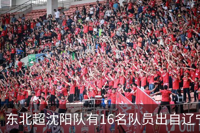东北超沈阳队有16名队员出自辽宁铁人青训，前两场球队一共进4球